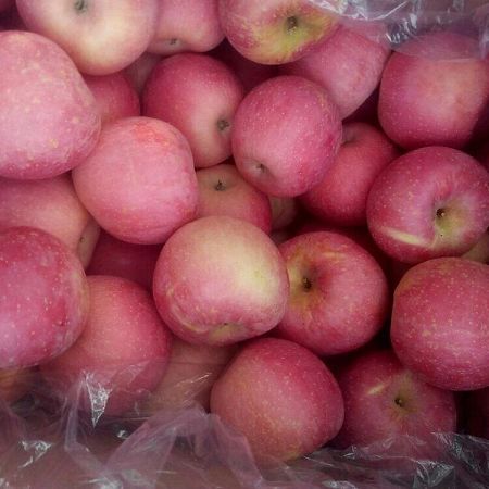 為孩子 、為愛人、為未來，她發(fā)起換腎眾籌