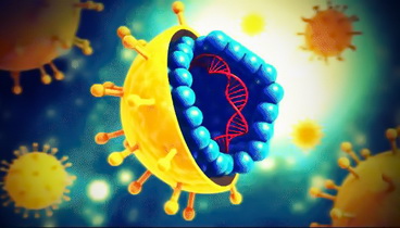 濟寧市任城區(qū)開展“世界肝炎日”主題宣傳  普及肝炎防控知識