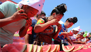 吃瓜秘籍——這四種瓜是夏季良伴