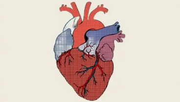 守護(hù)小心臟，從“早知道”開(kāi)始！——給孕媽媽的先心病篩查小知識(shí)